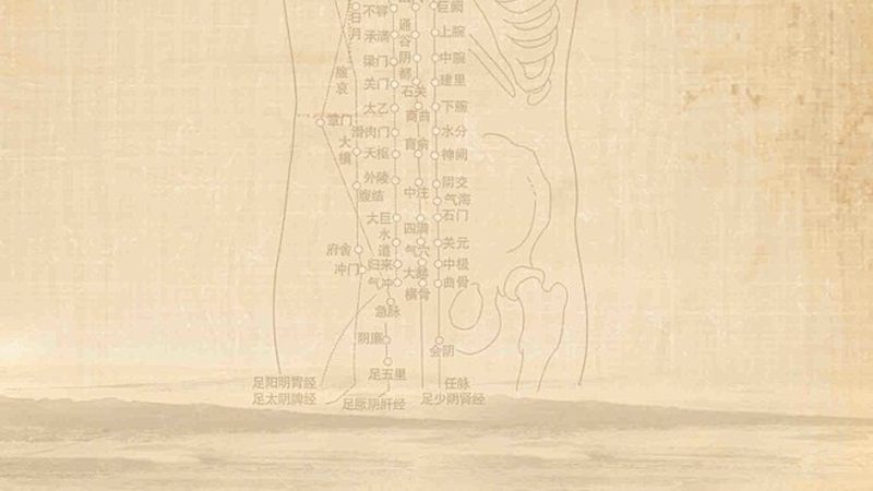 养生馆：注重整体调理，预防为主