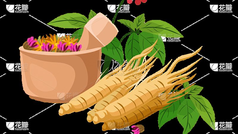 穴位压力刺激贴：原理、功效与选购要点